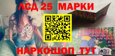 гидропоника Дубна