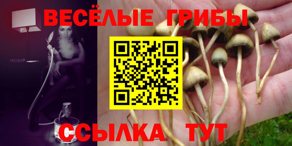 Галлюциногенные грибы MAGIC MUSHROOMS  Псилоцибиновые грибы мухоморы  Менделеевск  Вход с VPN 